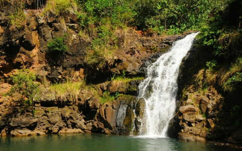 Hidden Gems of Oahu Circle Island Tour (Waimea Botanical Garden)